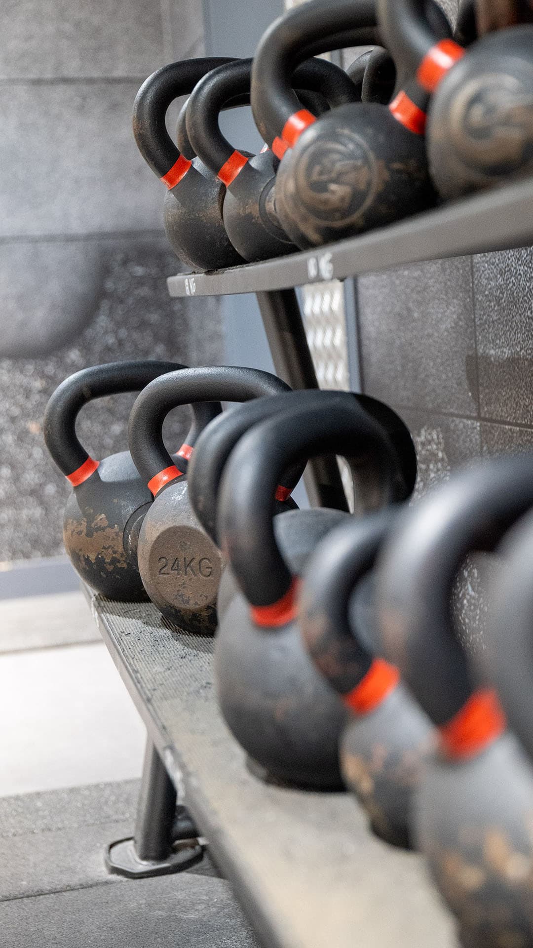 Début de l'entrainement à Fitness Park - photo 2