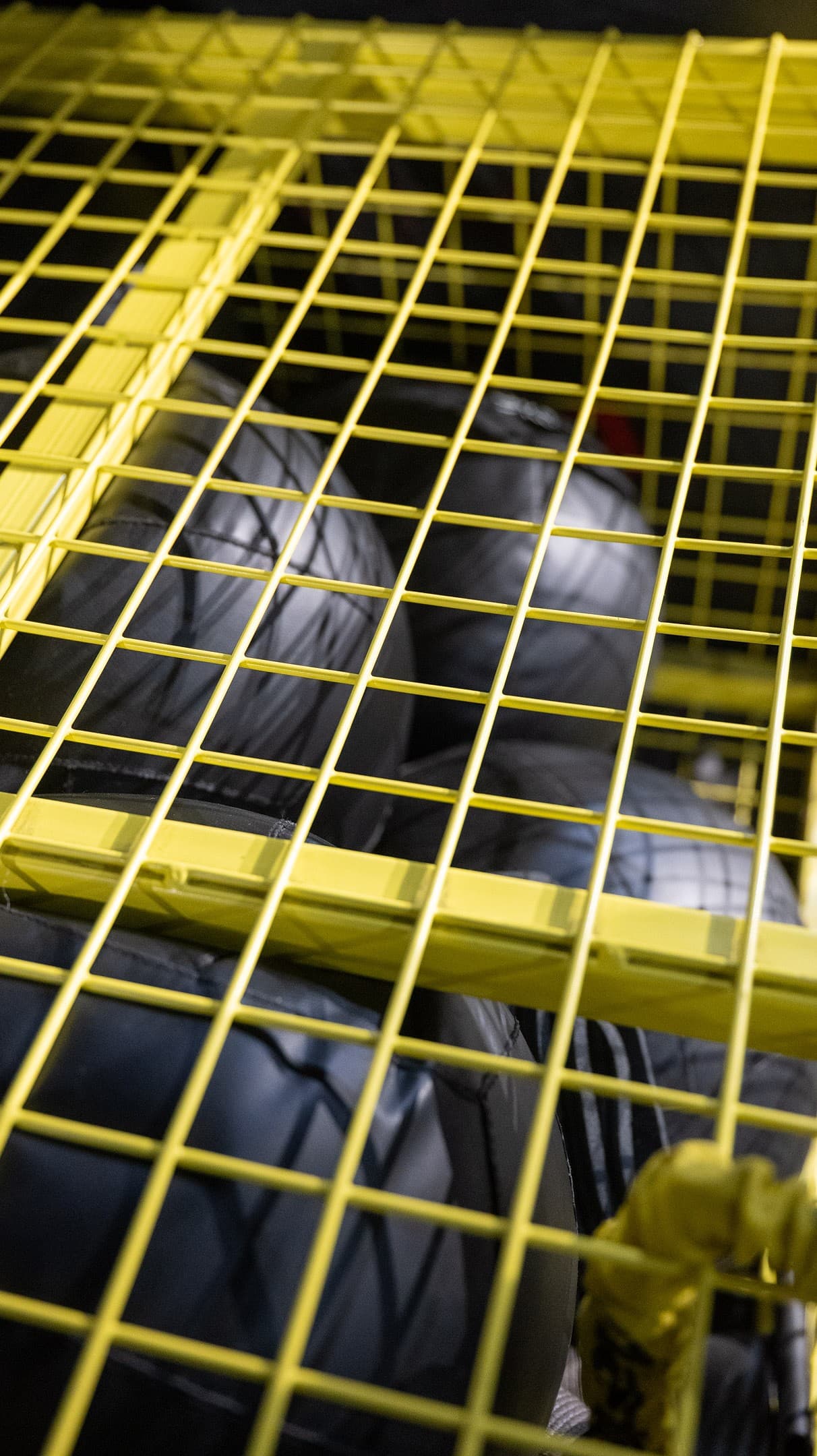 Début de l'entrainement à Fitness Park - photo 6