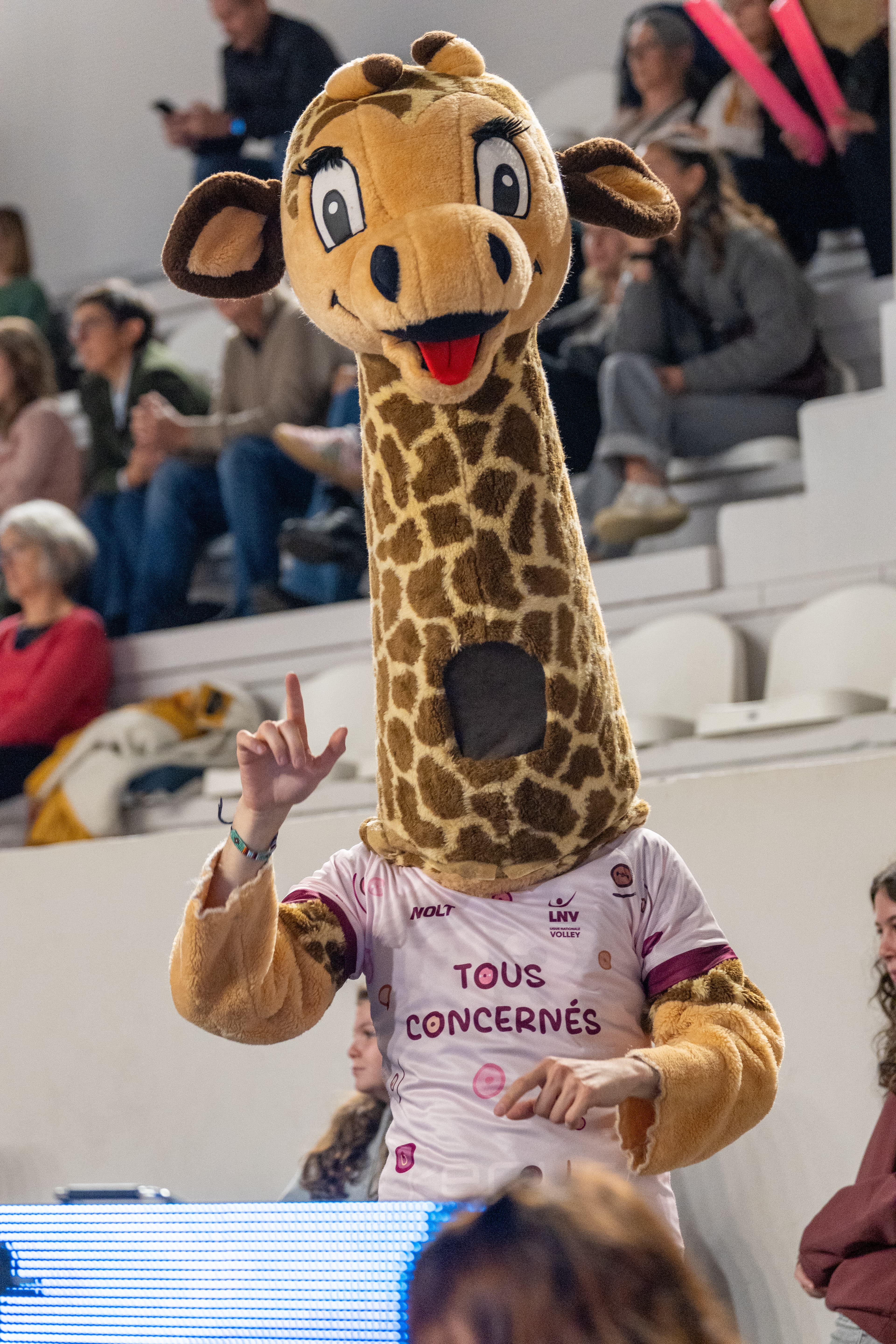 Deuxième match à domicile des Burdis contre Le Cannet - photo 12