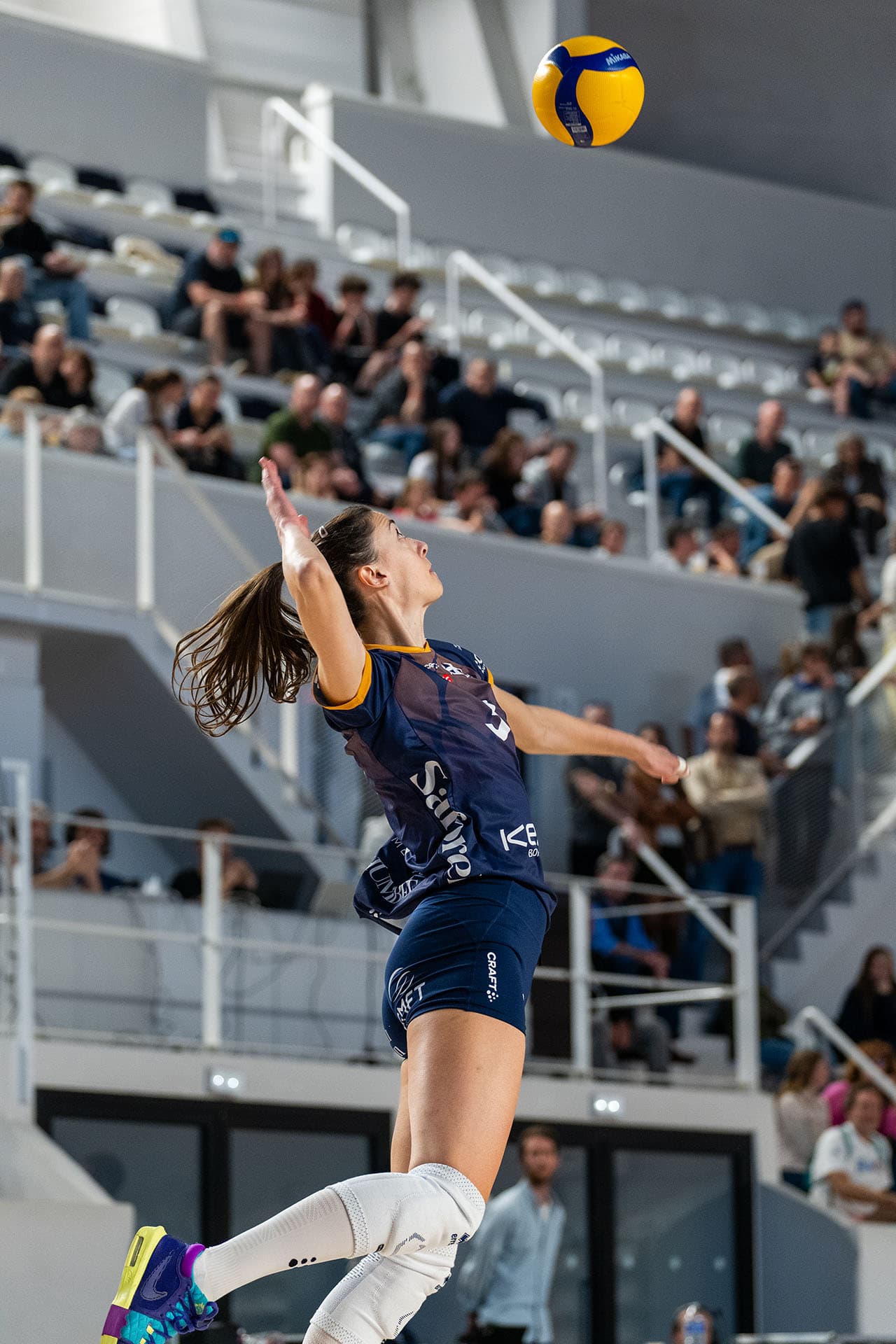 Septieme match à domicile des Burdis contre Toulouse - photo 3