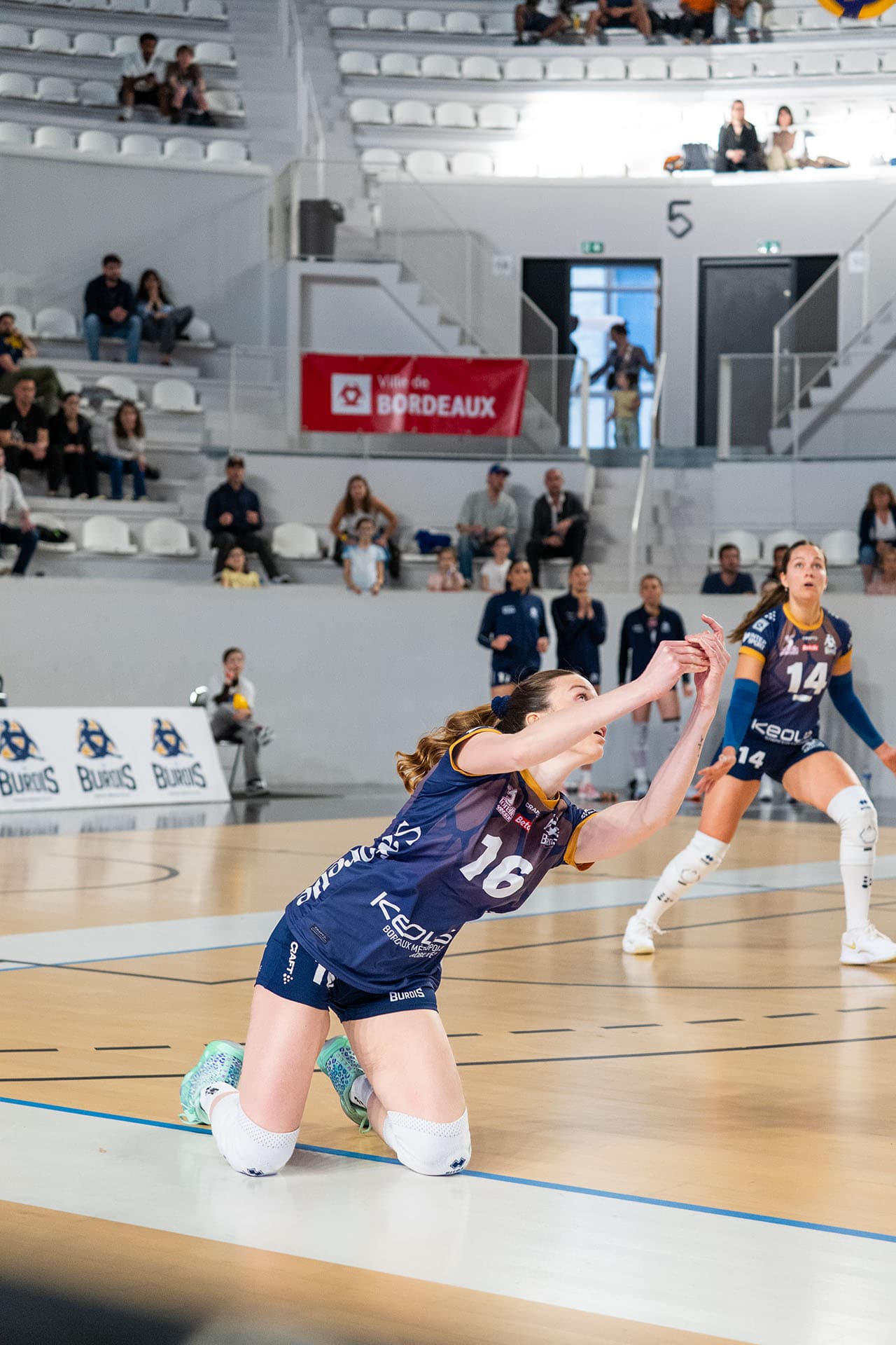 Septieme match à domicile des Burdis contre Toulouse - photo 6