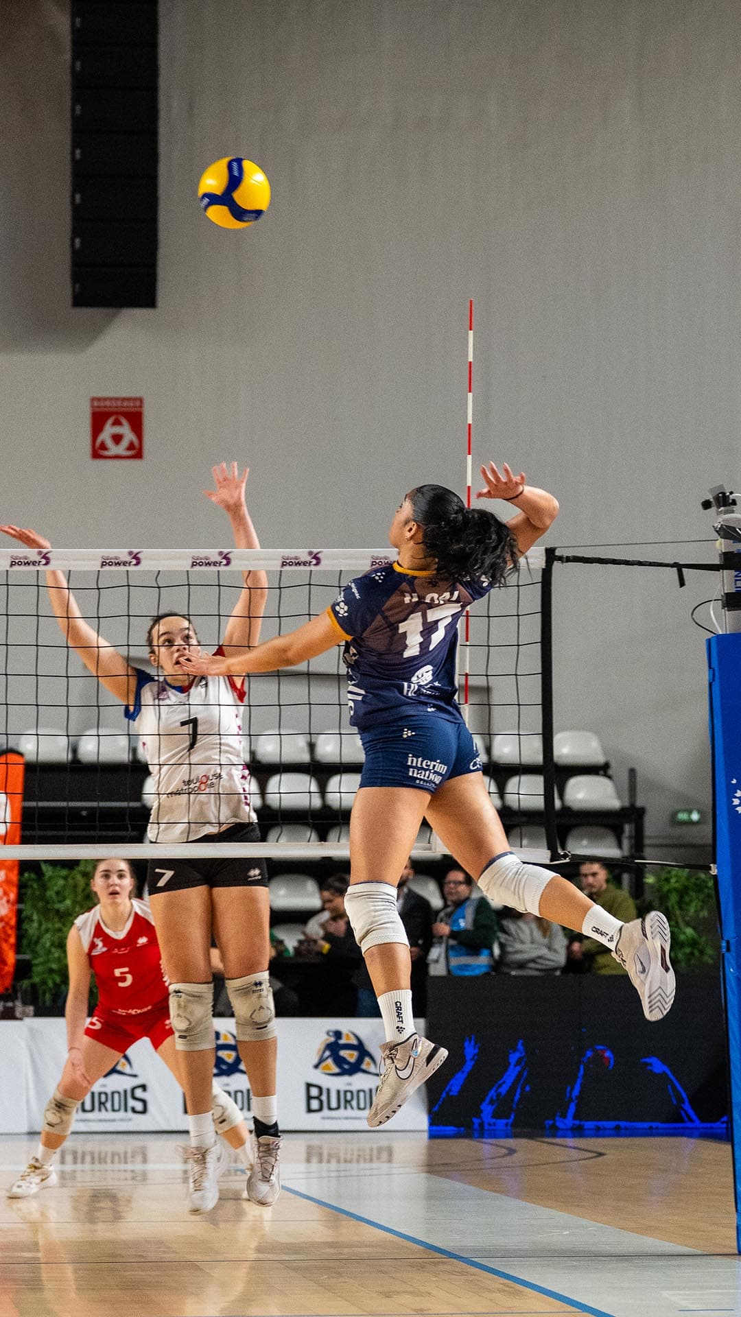 Septieme match à domicile des Burdis contre Toulouse - photo 9