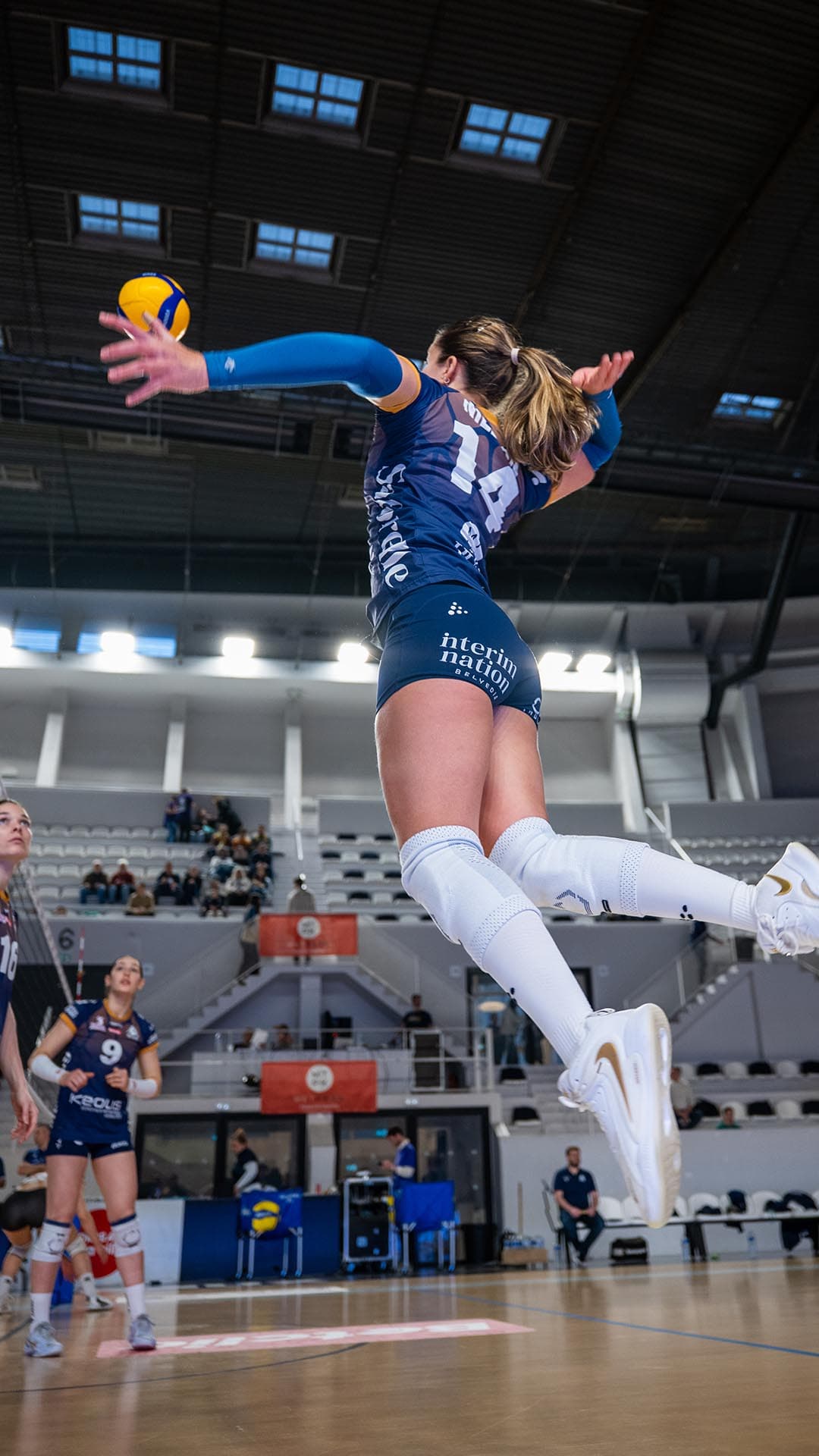 Septieme match à domicile des Burdis contre Toulouse - photo 1